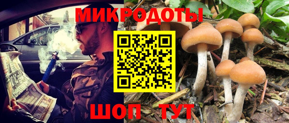 Галлюциногенные грибы Magic Shrooms Грязи