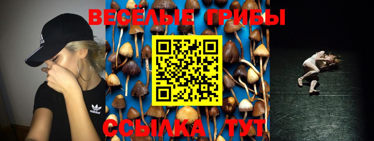 Грязи  Псилоцибиновые грибы Cubensis  Вход с VPN 